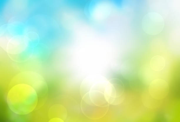 istock bokeh summer spring green nature flower eco color background 1299110056
