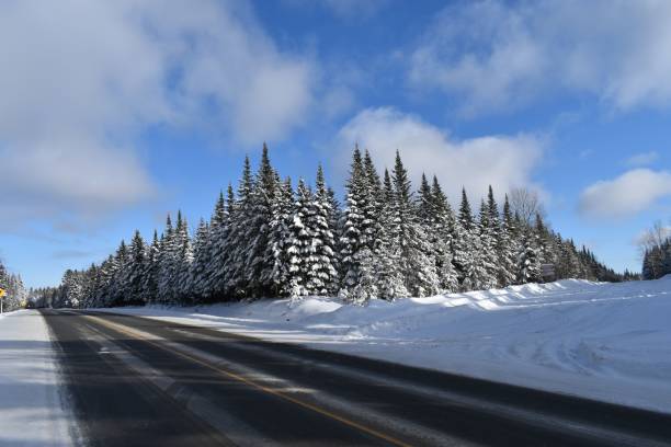 istock The Montmagny Road 1299110157