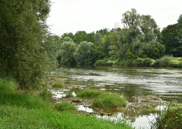 along the river kolpa - river kolpa imagens e fotografias de stock