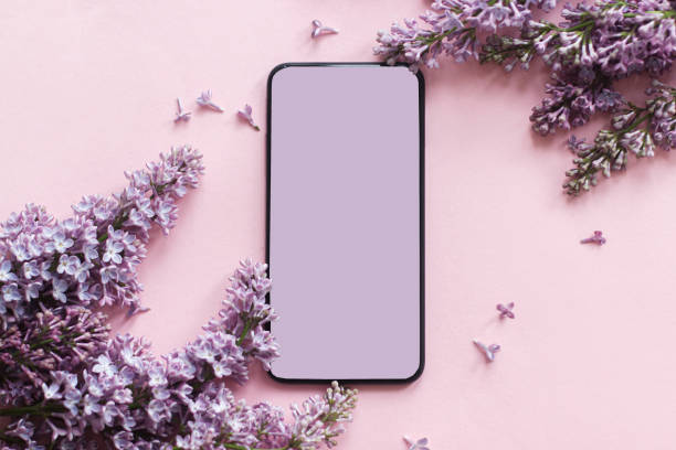 istock Phone with blank screen and lilac flowers border flat lay on pink paper. Smartphone spring mock up 1299121027