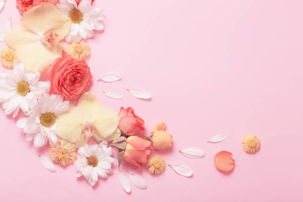 istock beautiful floral pattern on pink paper background 1299123379