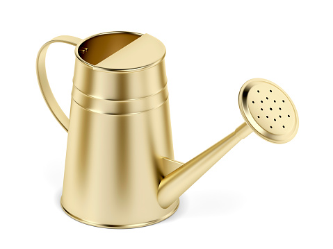 Gold watering can on white background