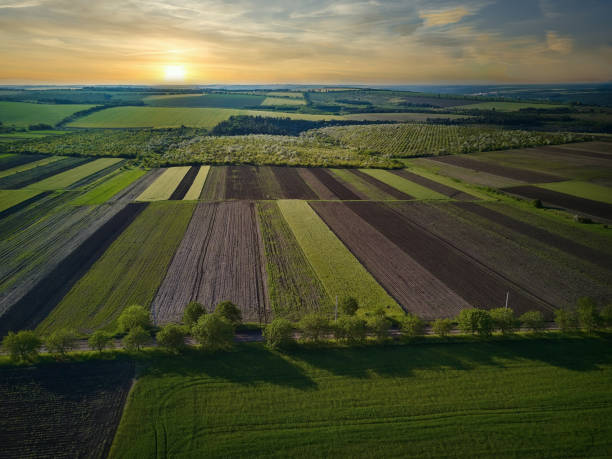 istock Aerial view over the agricultural fields 1299126638