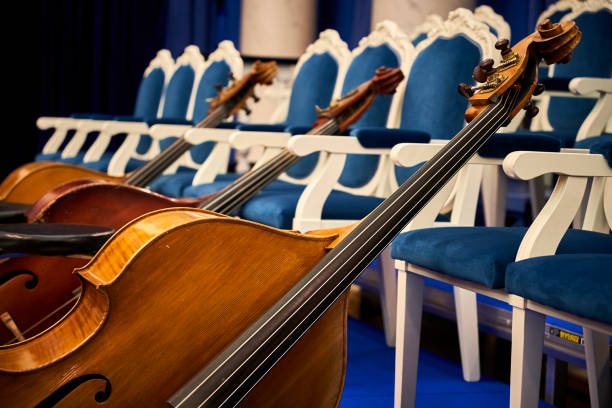 strings of an old contrabass closeup