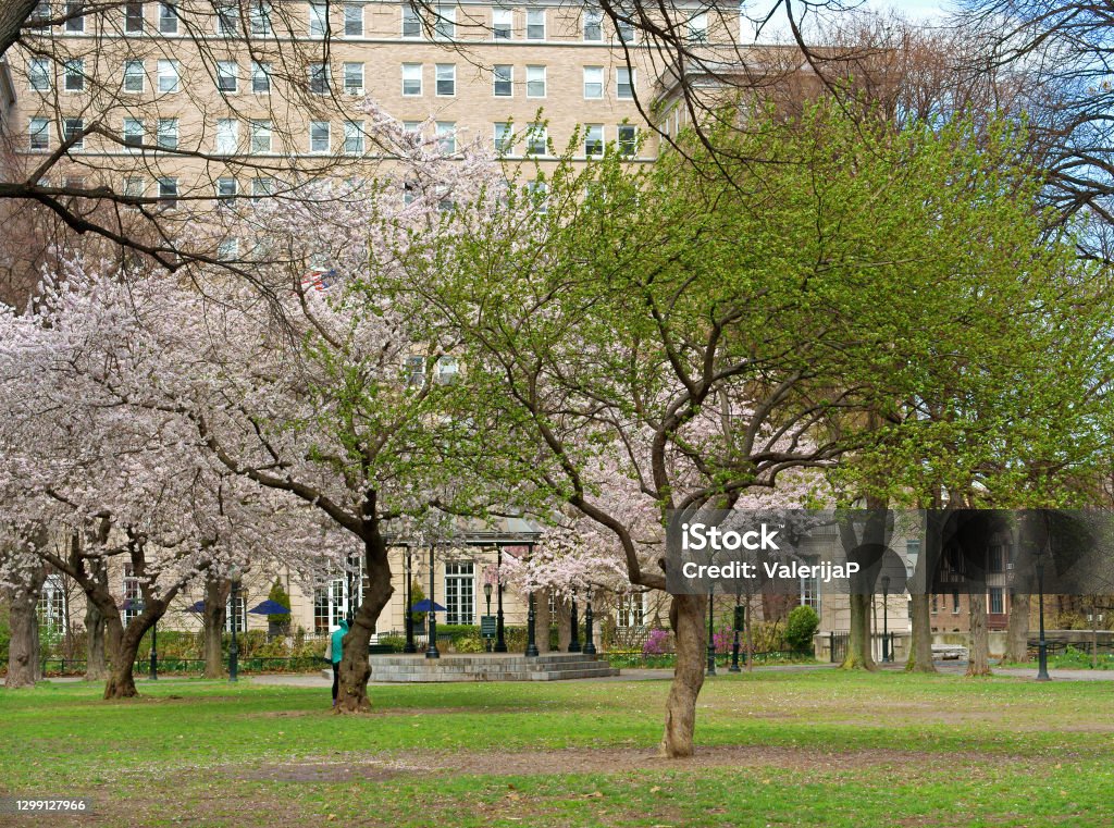 Sakura Park, public park located in Morningside Heights neighborhood in Manhattan, New York City, north of West 122nd Street between Riverside Drive and Claremont Avenue Architecture Stock Photo