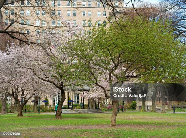Sakura Park Public Park Located In Morningside Heights Neighborhood In Manhattan New York City North Of West 122nd Street Between Riverside Drive And Claremont Avenue Stock Photo - Download Image Now