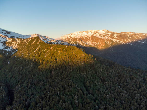 istock Forests on the hillsides in Conguillio National Park at sunset 1299128064
