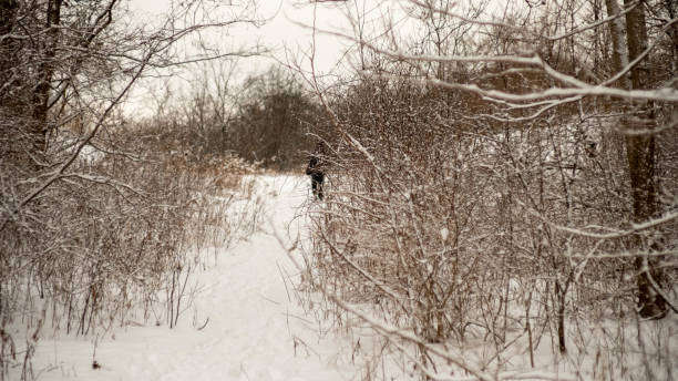 istock Snow covered trees in forest in Canada. Forest area on snowy winter day. 1299129078