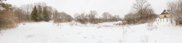 istock Panorama of cold winter day in Canada. Snow covered trees in forest. Snow on grounds 1299129178