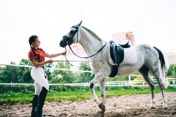istock Concentrated young woman training horse on sand arena 1299129769
