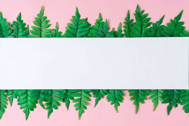 istock Creative concept green leaves with a copy space. Nature concept. Flat lay. 1299132232