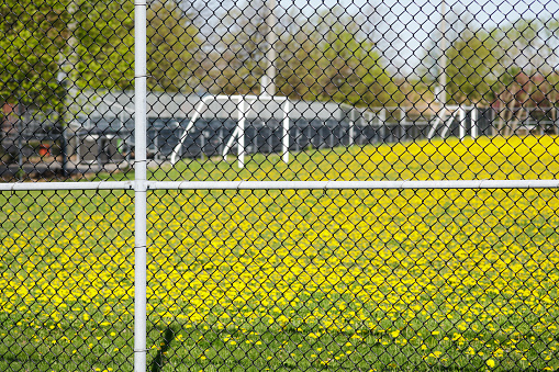 Wired fence in Jarry Park, Montreal