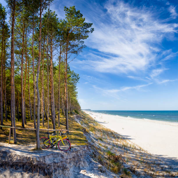 istock Vacations in Poland - Baltic seashore in Pogorzelica 1299136171