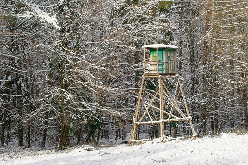Wooden hide for hunters or foresters in the forest in Taunus forest