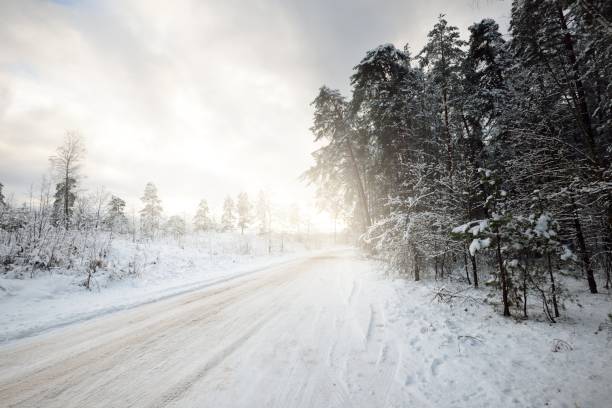 istock Snow-covered country road through the evergreen pine forest at sunset. Dramatic sky before snowstorm. Idyllic rural scene. Remote places, dangerous driving, off road, winter tires 1299141385