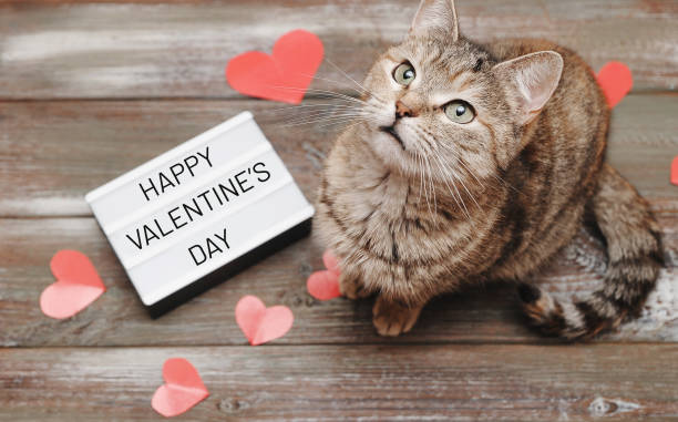 istock Cute cat with paper hearts on wooden background 1299142212