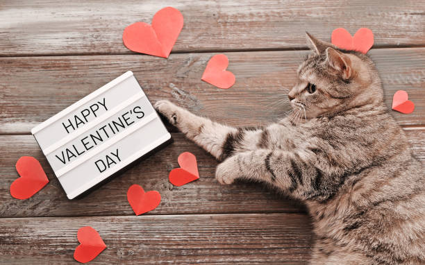 istock Cute cat with paper hearts on wooden background 1299142257