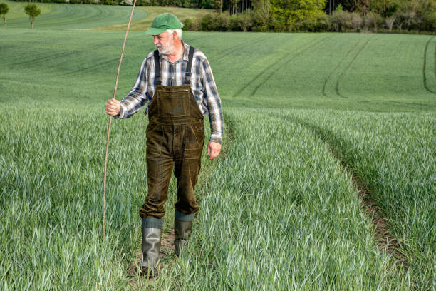 istock Farmer on a patrol through his field. 1299144778