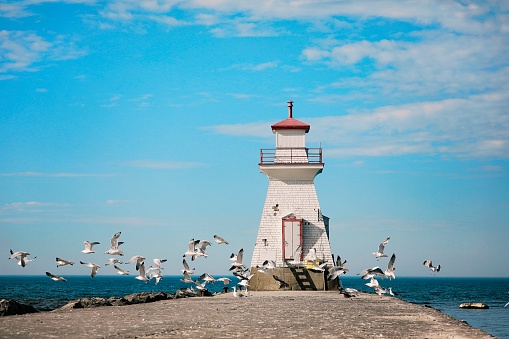 A beautiful scenic shot of a lighthouse on the end of a pier on Lake Huron, Ontario Canada. Seagulls are flying by.