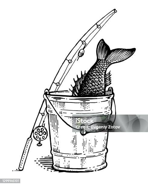 Ilustración de Caña De Pescar Y Cubo Con Pescado Ilustración En Blanco Y Negro y más Vectores Libres de Derechos de Pez