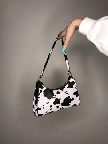 Woman’s cow printed little black and white bag on hand with long blue nails. Style and fashion. Accessorize