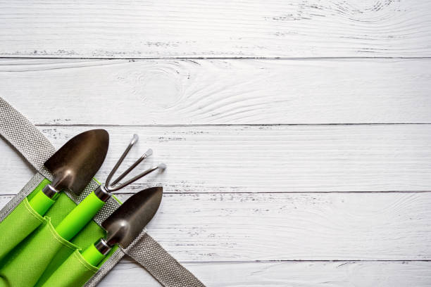 Gardener's tool on a light wooden background. Copy space for online florist or gardener courses