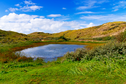 View to a small lake in sand dunes near Egmond, Netherlands