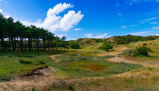 View to a small lake with trees in sand dunes near Egmond, Netherlands