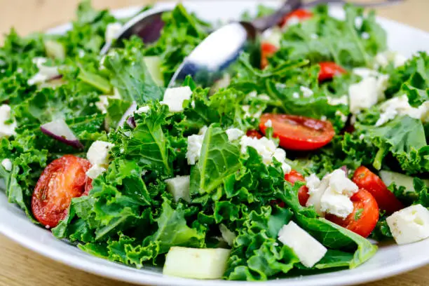 Greek Salad with fresh garden kale