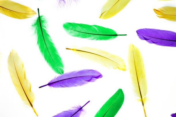 istock Mardi Gras color feathers background. Tuesday, Fat Tuesday 1299153528