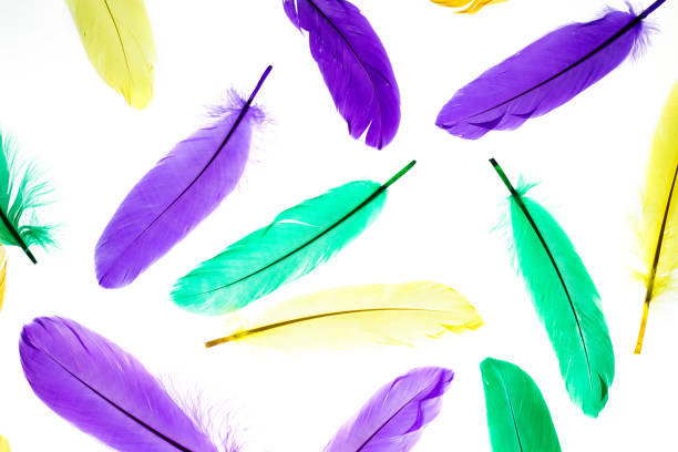 istock Mardi Gras color feathers background. Tuesday, Fat Tuesday 1299153532
