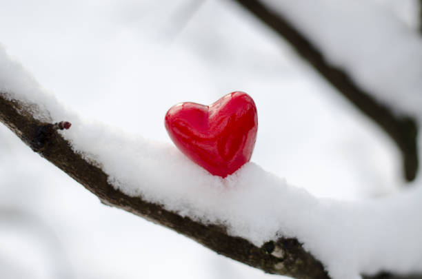 istock Small red heart in the snow 1299153802