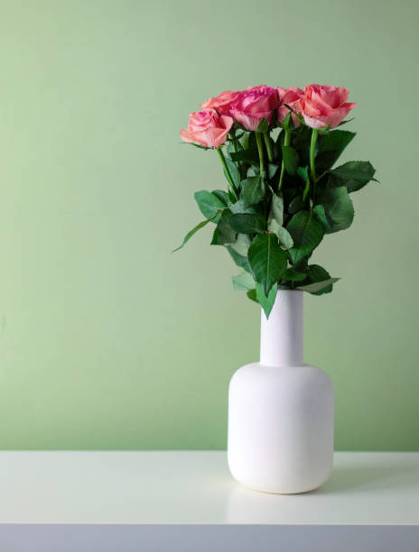 Roses A simple composition of a bouquet of pink roses in a white vase on a white table next to a peppermint green wall with copy space. white shabby chic desk stock pictures, royalty-free photos & images