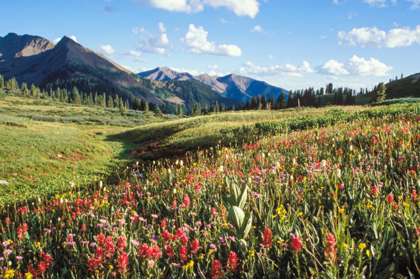 istock A Rocky Mountain High Landscape 0093 1299159865