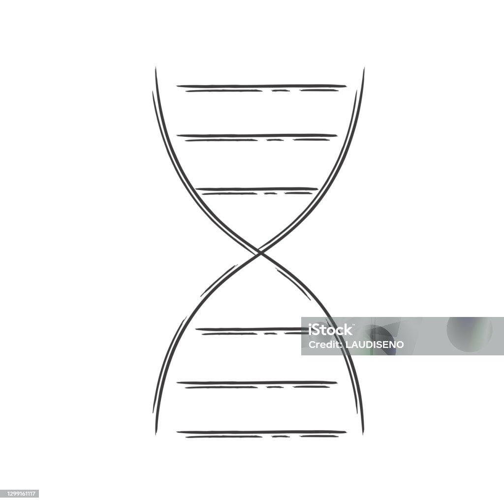 Isolated Dna Drawing Isolated Dna Medicines Draw Stock Illustration - Download Image Now ...