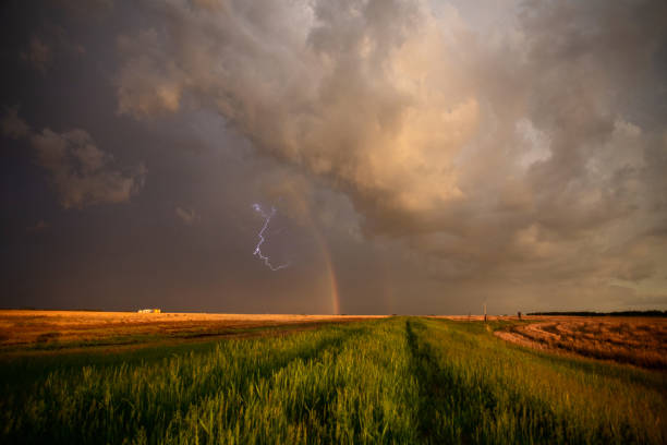 la tempête des prairies obscurcit le canada - prairie manitoba sunset thunderstorm photos et images de collection