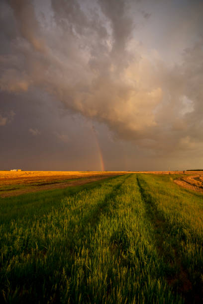 la tempête des prairies obscurcit le canada - prairie manitoba sunset thunderstorm photos et images de collection