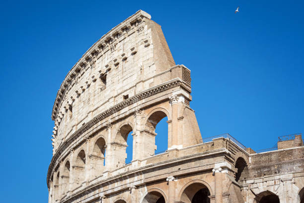 view of the coliseum also known as the flavian amphitheatre. rome, italy - flavian amphitheater coliseum rome imagens e fotografias de stock