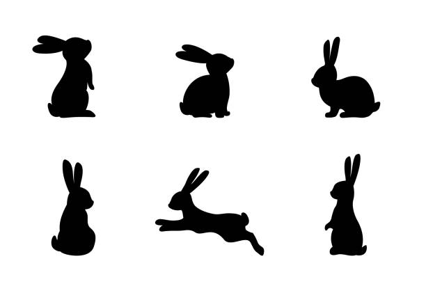 illustrazioni stock, clip art, cartoni animati e icone di tendenza di set di diverse silhouette di coniglietti per l'uso del design. sagome di conigli isolati su uno sfondo bianco. - rabbit