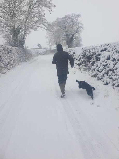 istock Mans best friend in all weather. 1299164387