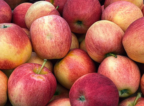 Closeup two whole pink fuji apples with green leaf isolated on white background. Full depth of field.