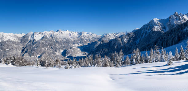 istock Snowcapped trees and powder snow in ski resort 1299169954