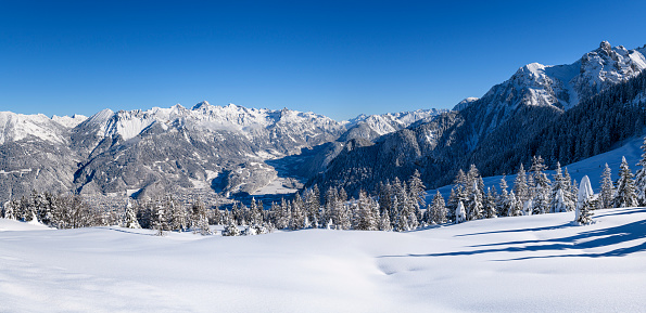 Snowy winter landscape with snowcapped trees in front and mountains in the background. Photographed in Brandnertal, Vorarlberg, Austria.
