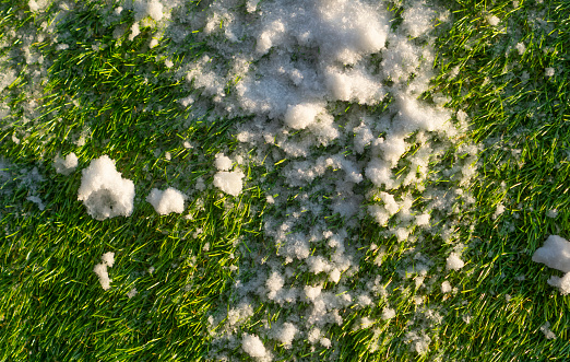 Snow lying on the green artificial grass. Top view.