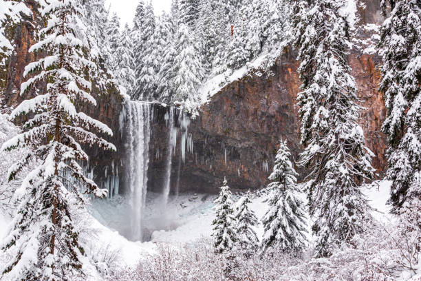 istock Tamanawas Falls in Winter 1299175458