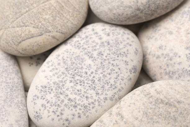 istock abstract background with dry round gray reeble stones, gray close-up pebbles background, spa relaxation concept 1299176717