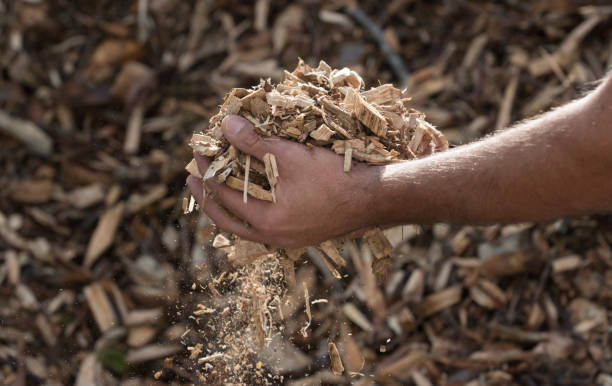 древесная щепка в качестве нагревательного топлива - wood chip фотографии стоковые фото и изображения