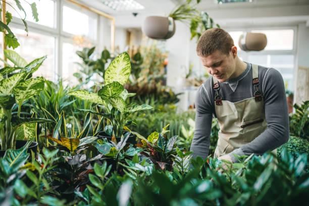 istock A young man examining and working with plants and flowers 1299181789