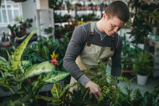 istock A young man examining and working with plants and flowers 1299181841