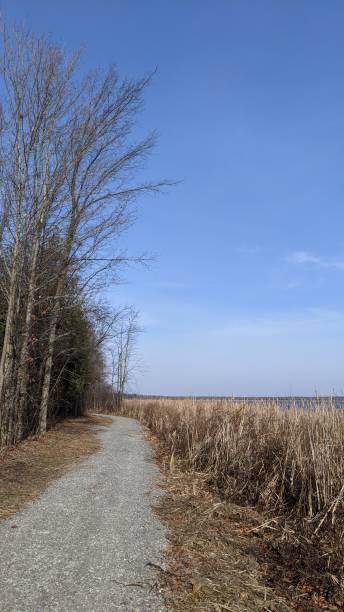 istock Buells Creek Reservoir Trail (photo2) 1299185127